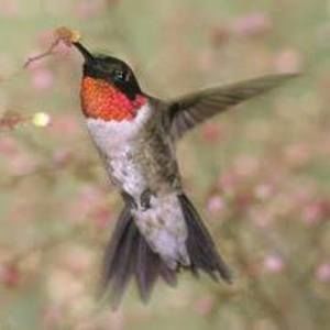 Meet your Posher, Sue